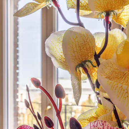 Pensionat Casa Della Musica - Affitti Brevi Italia