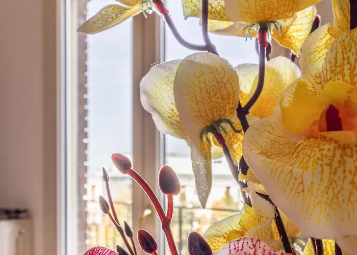 Vendégház Casa Della Musica - Affitti Brevi Italia